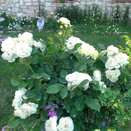 Konukevi Nasco Altın Kumlar