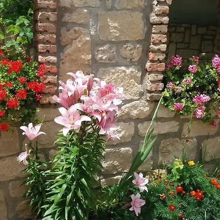 Konukevi Nasco Altın Kumlar