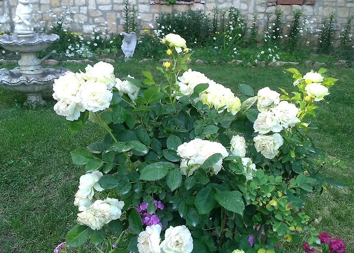 Penzion Nasco Zlate písky