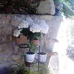 纳斯科别墅旅馆 招待所 *