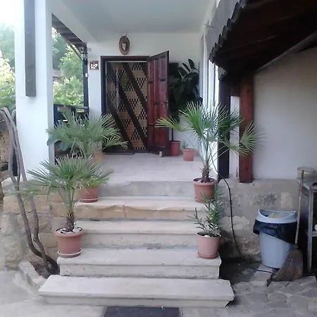 Nasco * Złote Piaski