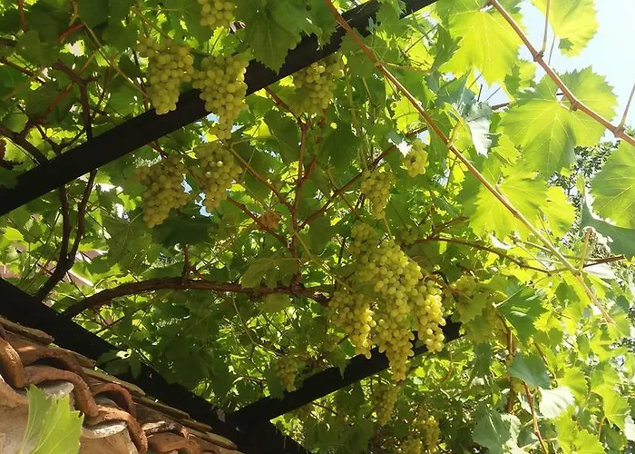 ゲストハウス Nasco ゴールデンサンド