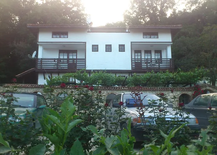 Nasco * ゴールデンサンド